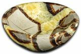 Eye-Eatching Polished Septarian Dish - Madagascar #371708-1
